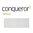 Conqueror Texture Perlmutt DIN A4 Papier 100g mit Wasserzeichen