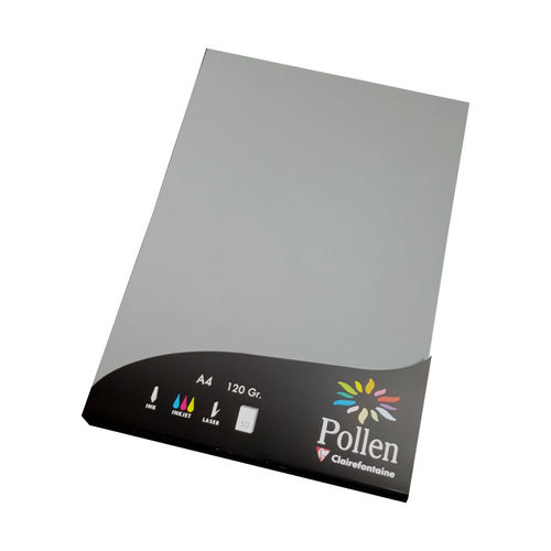 10 Blatt Stahlgrau Papier 120g DIN A4 Grau Pollen by Clairefontaine